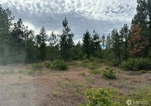 Photo 2 of Land for sale at 0 Lot 5 Greyback Mt Rd, Goldendale, WA 98620 | MLS# NWM2588214 | Listing updated on 2026-09-28
