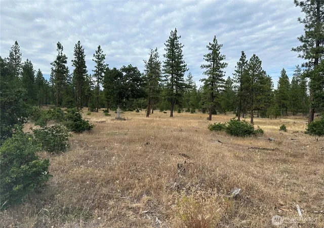 Photo 3 of Land for sale at 0 Lot 5 Greyback Mt Rd, Goldendale, WA 98620 | MLS# NWM2588214 | Listing updated on 2026-09-28