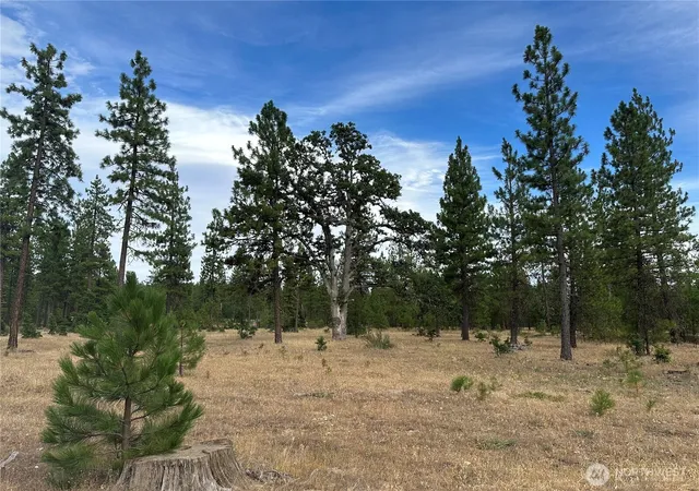 Photo 3 of Land for sale at 0 Lot 5 Greyback Mt Rd, Goldendale, WA 98620 | MLS# NWM2588214 | Listing updated on 2026-09-28