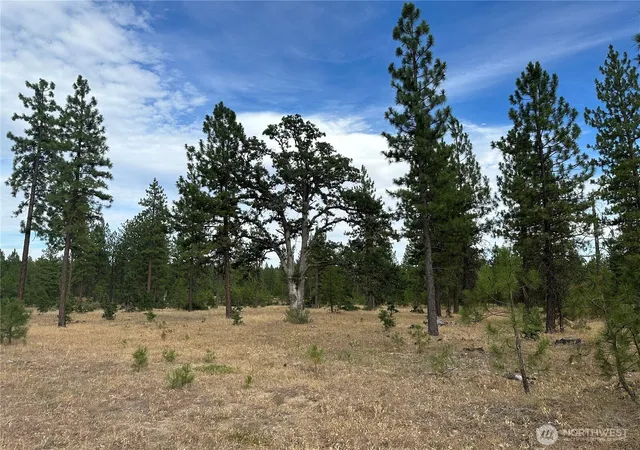 Photo 4 of Land for sale at 0 Lot 5 Greyback Mt Rd, Goldendale, WA 98620 | MLS# NWM2588214 | Listing updated on 2026-09-28