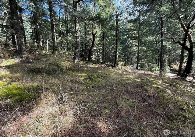 Photo 3 of Land for sale at 314 Discovery Way, Eastsound, WA 98245 | MLS# NWM2588549 | Listing updated on 2026-09-30