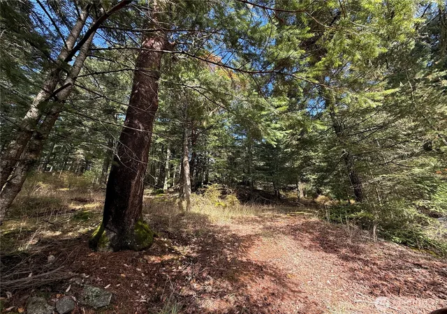 Photo 4 of Land for sale at 314 Discovery Way, Eastsound, WA 98245 | MLS# NWM2588549 | Listing updated on 2026-09-30