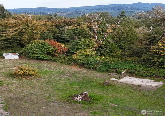 Photo 3 of Land for sale at 41354 N Shore Ln, Concrete, WA 98237 | MLS# NWM2588630 | Listing updated on 2026-09-29