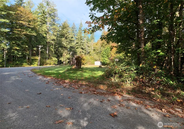 Photo 4 of Land for sale at 41354 N Shore Ln, Concrete, WA 98237 | MLS# NWM2588630 | Listing updated on 2026-09-29