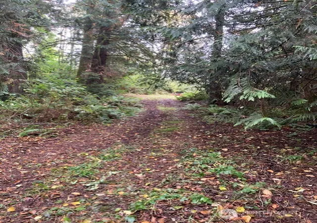 Photo 1 of Land for sale at 17004 74th Street Nw, Vaughn, WA 98394 | MLS# NWM2588706 | Listing updated on 2026-10-01