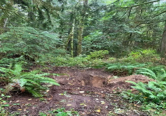 Photo 2 of Land for sale at 17004 74th Street Nw, Vaughn, WA 98394 | MLS# NWM2588706 | Listing updated on 2026-10-01
