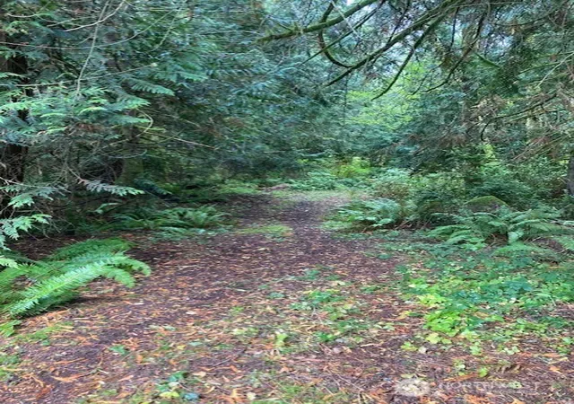Photo 3 of Land for sale at 17004 74th Street Nw, Vaughn, WA 98394 | MLS# NWM2588706 | Listing updated on 2026-10-01