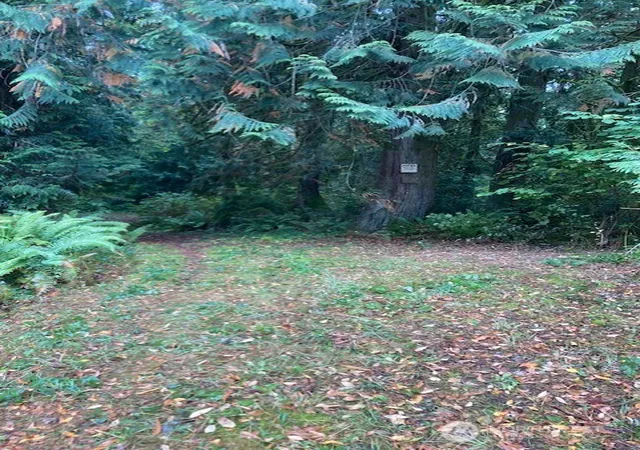 Photo 3 of Land for sale at 17004 74th Street NW, Vaughn, WA 98394 | MLS# NWM2588706 | Listing updated on 2026-10-01