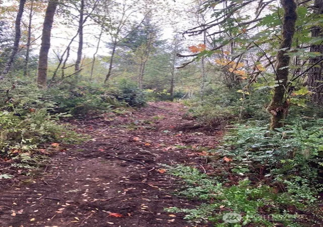 Land for sale at 16822 74th Street NW, Vaughn, WA 98394 | MLS# NWM2588723