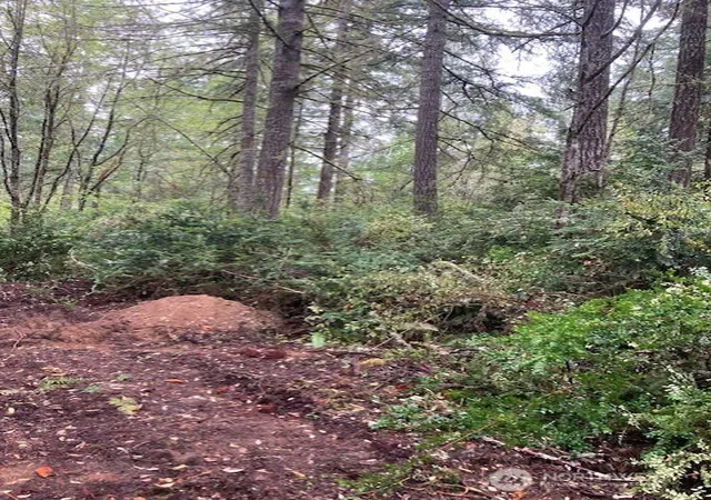 Photo 2 of Land for sale at 16822 74th Street Nw, Vaughn, WA 98394 | MLS# NWM2588723 | Listing updated on 2026-10-01