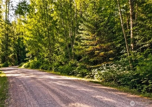 Photo 4 of Land for sale at 33334 NE 118th Street, Carnation, WA 98014 | MLS# NWM2588879 | Listing updated on 2026-10-02