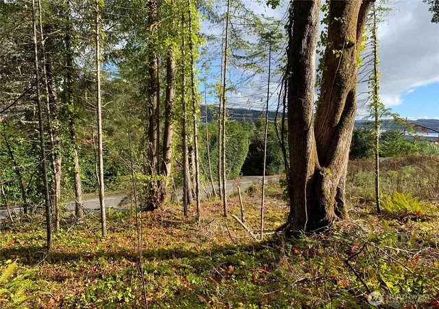 Photo 1 of Land for sale at 5 E State Route 106, Union, WA 98592 | MLS# NWM2589188 | Listing updated on 2026-10-02