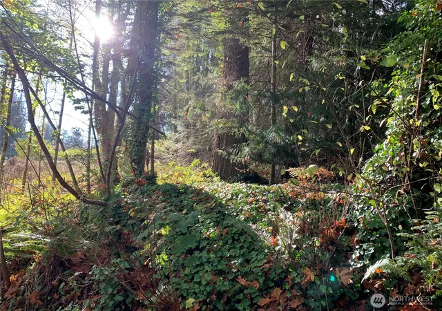 Photo 3 of Land for sale at 5 E State Route 106, Union, WA 98592 | MLS# NWM2589188 | Listing updated on 2026-10-02