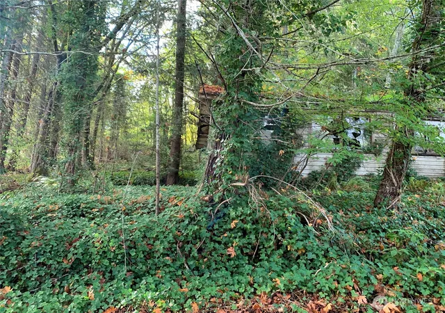 Photo 4 of Land for sale at 5 E State Route 106, Union, WA 98592 | MLS# NWM2589188 | Listing updated on 2026-10-02