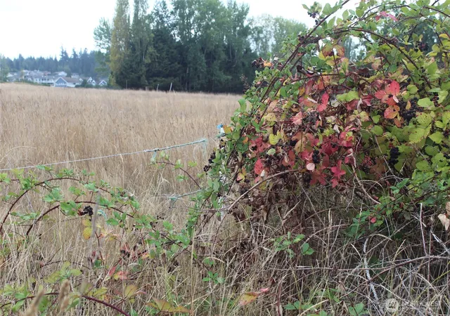 Photo 3 of Land for sale at 0 E Brownfield Rd, Sequim, WA 98382 | MLS# NWM2589215 | Listing updated on 2026-10-01