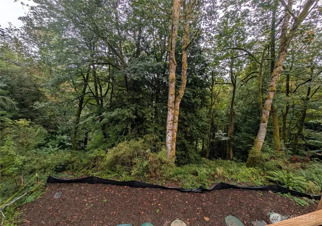 Photo 4 of Single family home for sale at 486 Peak Dr, Sedro Woolley, WA 98284 | MLS# NWM2589256 | Listing updated on 2026-10-21
