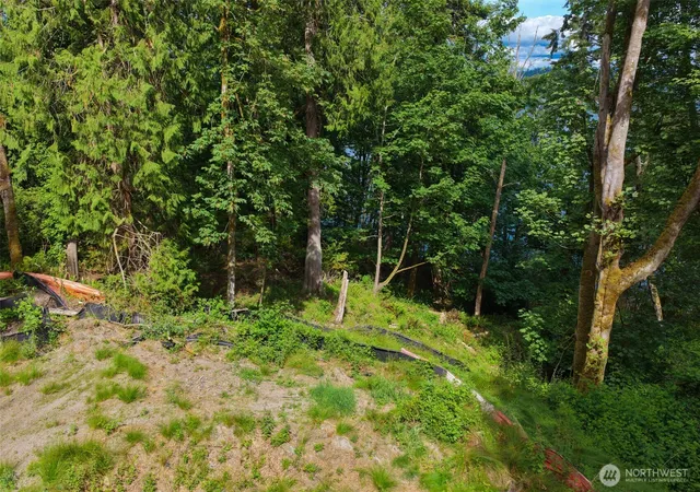 Land for sale at 7095 Wilson Crk Rd SE, Port Orchard, WA 98367 | MLS# NWM2589402
