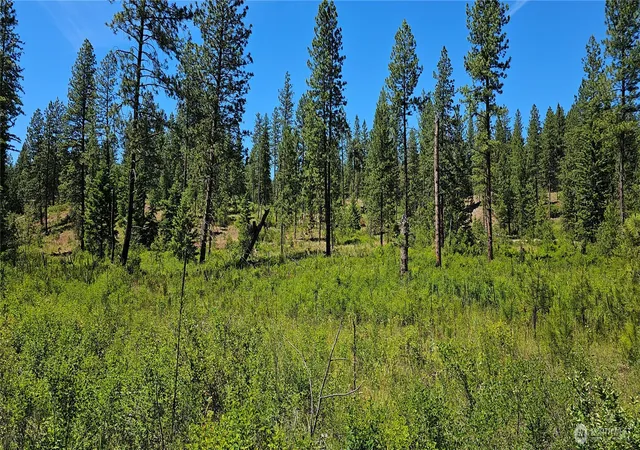 Photo 1 of Land for sale at 20 X Lynx Rd, Inchelium, WA 99138 | MLS# NWM2589590 | Listing updated on 2026-09-30