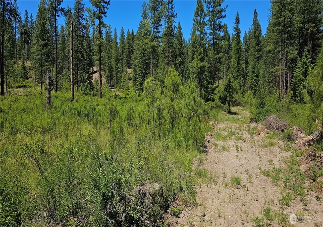 Photo 3 of Land for sale at 20 X Lynx Rd, Inchelium, WA 99138 | MLS# NWM2589590 | Listing updated on 2026-09-30