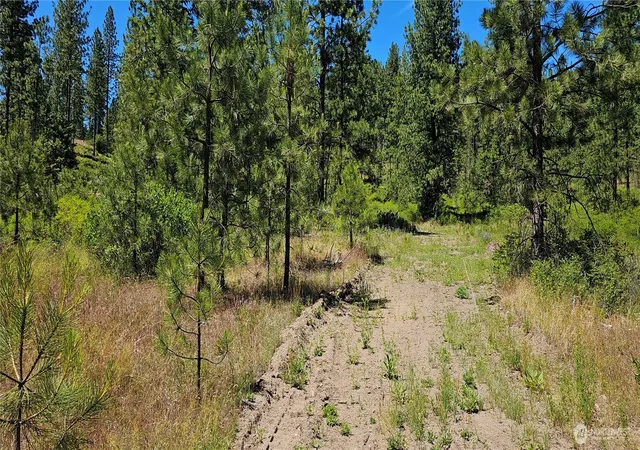Photo 3 of Land for sale at 20 X Lynx Rd, Inchelium, WA 99138 | MLS# NWM2589590 | Listing updated on 2026-09-30