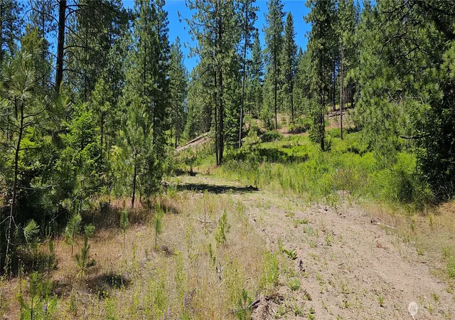 Photo 4 of Land for sale at 20 X Lynx Rd, Inchelium, WA 99138 | MLS# NWM2589590 | Listing updated on 2026-09-30