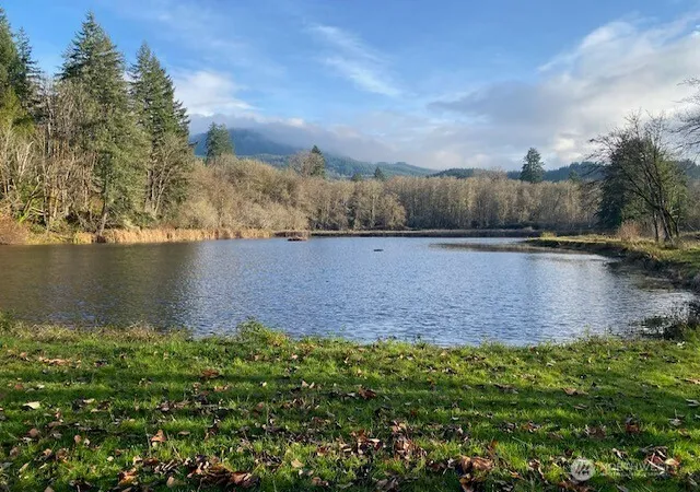 Photo 4 of Land for sale at 505 Morse St, Ryderwood, WA 98581 | MLS# NWM2589670 | Listing updated on 2026-10-03