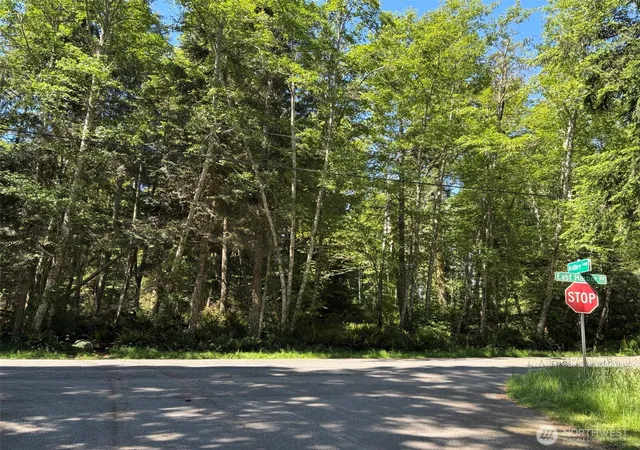 Land for sale at 0 E Harbor Dr, Langley, WA 98260 | MLS# NWM2589814