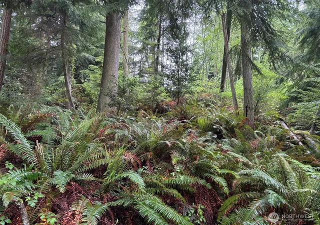 Photo 3 of Land for sale at 0 E Harbor Dr, Langley, WA 98260 | MLS# NWM2589814 | Listing updated on 2026-10-02