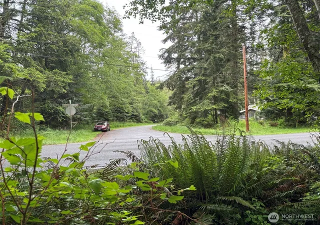 Photo 4 of Land for sale at 0 E Harbor Dr, Langley, WA 98260 | MLS# NWM2589814 | Listing updated on 2026-10-02