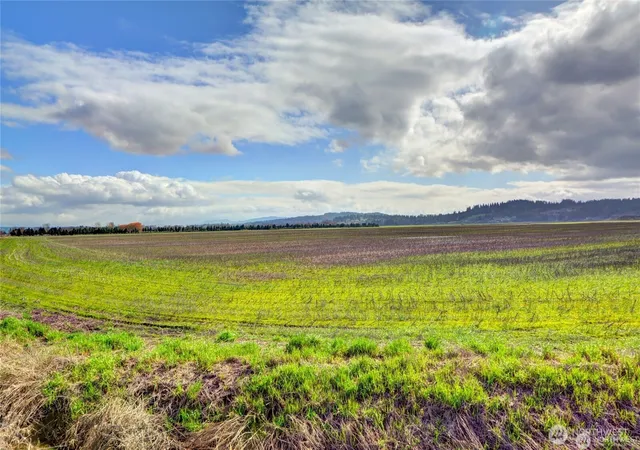 Photo 3 of Land for sale at 6910 Marsh Rd, Snohomish, WA 98296 | MLS# NWM2589905 | Listing updated on 2026-10-01