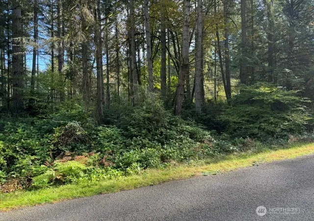 Photo 2 of Land for sale at 11503 Lake Josephine Ave, Anderson Island, WA 98303 | MLS# NWM2589923 | Listing updated on 2026-10-01