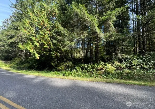 Photo 3 of Land for sale at 11503 Lake Josephine Ave, Anderson Island, WA 98303 | MLS# NWM2589923 | Listing updated on 2026-10-01