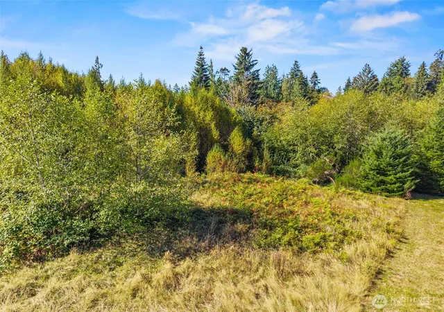 Photo 2 of Land for sale at 8 Cougar Fls Ln, Cathlamet, WA 98612 | MLS# NWM2590054 | Listing updated on 2026-10-03