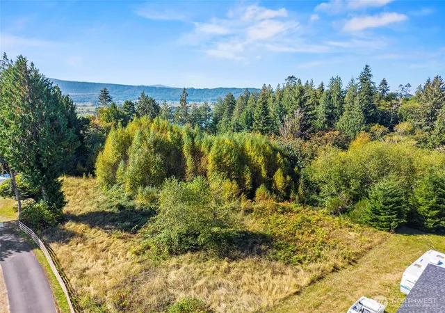 Photo 3 of Land for sale at 8 Cougar Fls Ln, Cathlamet, WA 98612 | MLS# NWM2590054 | Listing updated on 2026-10-03