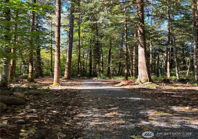 Photo 2 of Land for sale at 0 Clear Crk Rd, Darrington, WA 98241 | MLS# NWM2590151 | Listing updated on 2026-10-03