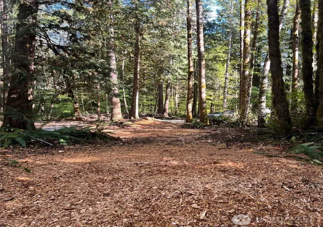 Photo 3 of Land for sale at 0 Clear Crk Rd, Darrington, WA 98241 | MLS# NWM2590151 | Listing updated on 2026-10-03