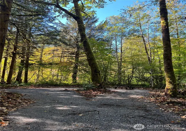 Photo 3 of Land for sale at 0 Clear Crk Rd, Darrington, WA 98241 | MLS# NWM2590151 | Listing updated on 2026-10-03