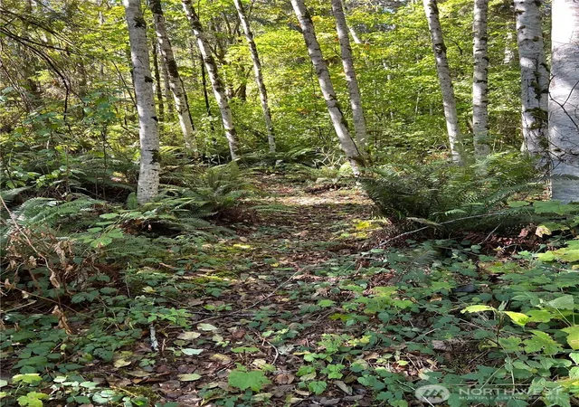 Photo 4 of Land for sale at 0 Clear Crk Rd, Darrington, WA 98241 | MLS# NWM2590151 | Listing updated on 2026-10-03