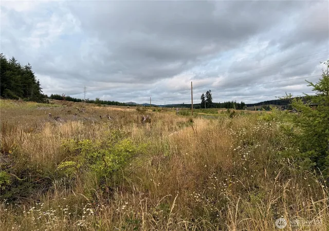 Photo 2 of Land for sale at 19 Xx Bunker Crk Rd, Chehalis, WA 98532 | MLS# NWM2590214 | Listing updated on 2026-10-07