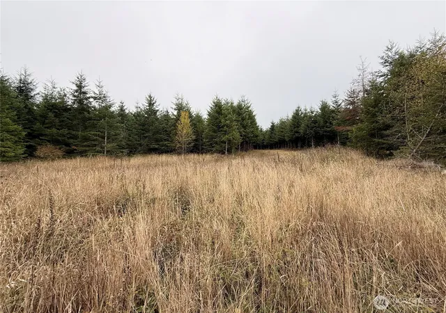 Photo 3 of Land for sale at 19 Xx Bunker Crk Rd, Chehalis, WA 98532 | MLS# NWM2590214 | Listing updated on 2026-10-07