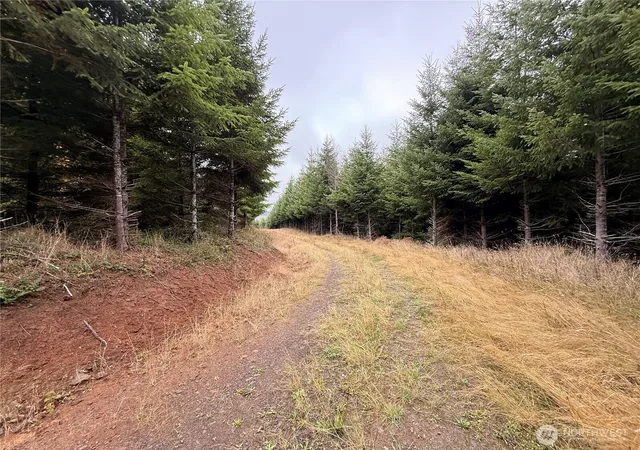 Photo 3 of Land for sale at 19 Xx Bunker Crk Rd, Chehalis, WA 98532 | MLS# NWM2590214 | Listing updated on 2026-10-07