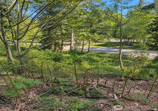 Photo 2 of Land for sale at 32933 Se Kent Kangley Rd, Ravensdale, WA 98051 | MLS# NWM2590325 | Listing updated on 2026-10-02