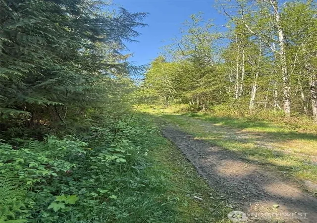 Photo 3 of Land for sale at 32933 Se Kent Kangley Rd, Ravensdale, WA 98051 | MLS# NWM2590325 | Listing updated on 2026-10-02