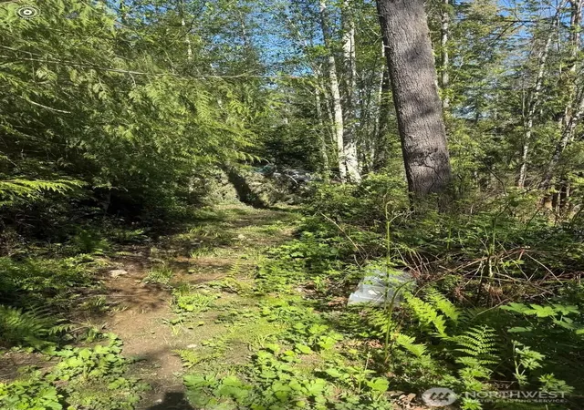 Photo 3 of Land for sale at 32933 SE Kent Kangley Rd, Ravensdale, WA 98051 | MLS# NWM2590325 | Listing updated on 2026-10-02