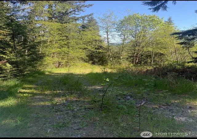 Photo 4 of Land for sale at 32933 SE Kent Kangley Rd, Ravensdale, WA 98051 | MLS# NWM2590325 | Listing updated on 2026-10-02