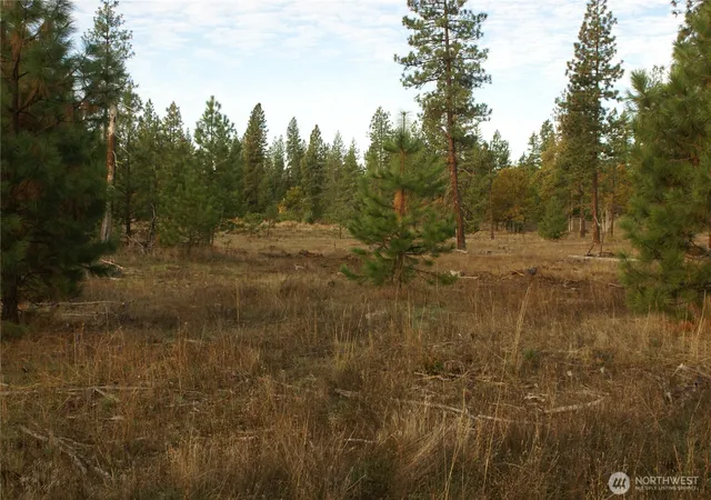 Photo 1 of Land for sale at 0 7 1 7 2 Ginger Way, Goldendale, WA 98620 | MLS# NWM2590446 | Listing updated on 2026-10-05