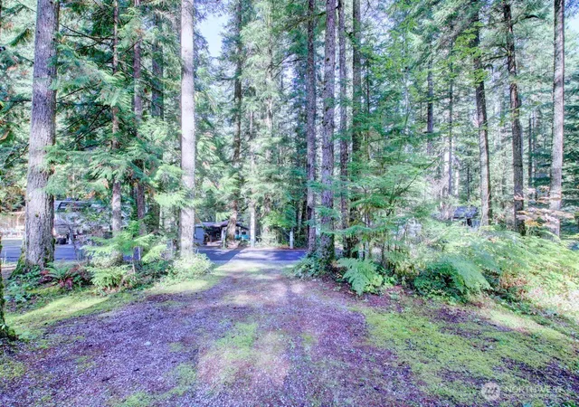 Photo 1 of Manufactured home for sale at 145 1 Goldrush Rd, Deming, WA 98244 | MLS# NWM2590499 | Listing updated on 2026-10-19