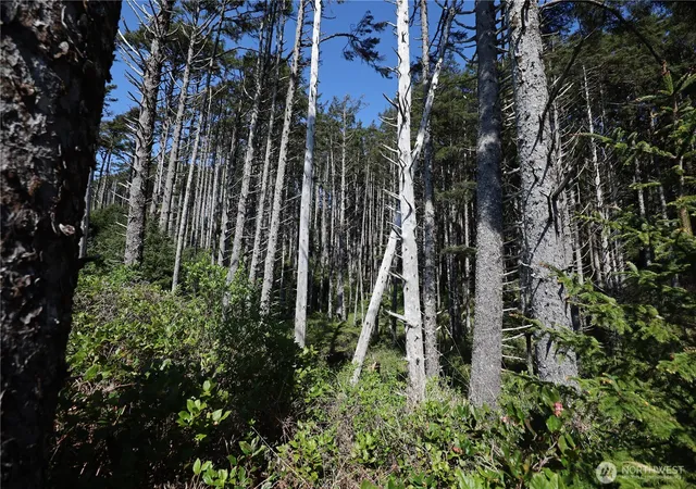 Photo 3 of Land for sale at 5 & 6 Roosevelt Beach Lots, Pacific Beach, WA 98571 | MLS# NWM2590592 | Listing updated on 2026-10-02