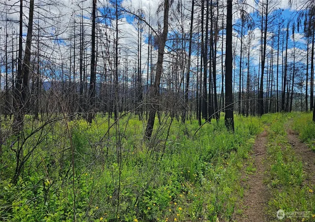 Photo 2 of Land for sale at 34 Xx Lael Flt Crk Rd, Kettle Falls, WA 99141 | MLS# NWM2590599 | Listing updated on 2026-10-02