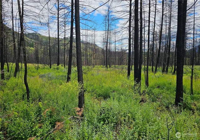 Photo 3 of Land for sale at 34 Xx Lael Flt Crk Rd, Kettle Falls, WA 99141 | MLS# NWM2590599 | Listing updated on 2026-10-02